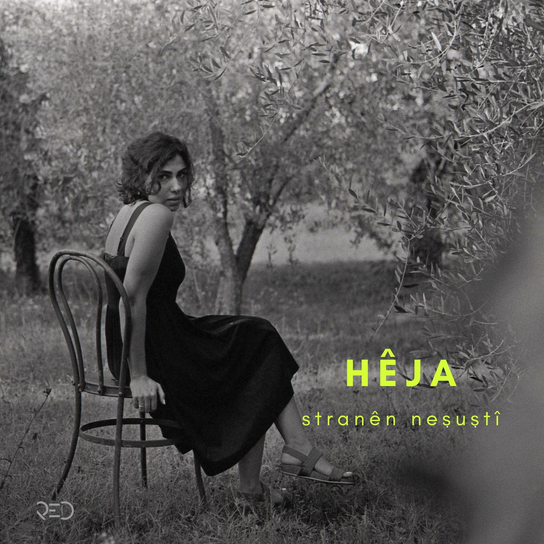 Album cover of Stranên Neşuştî