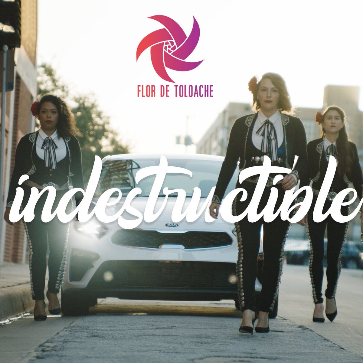 Album cover of Indestructible