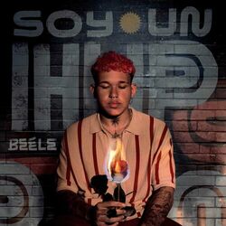 Cover of Soy un HP