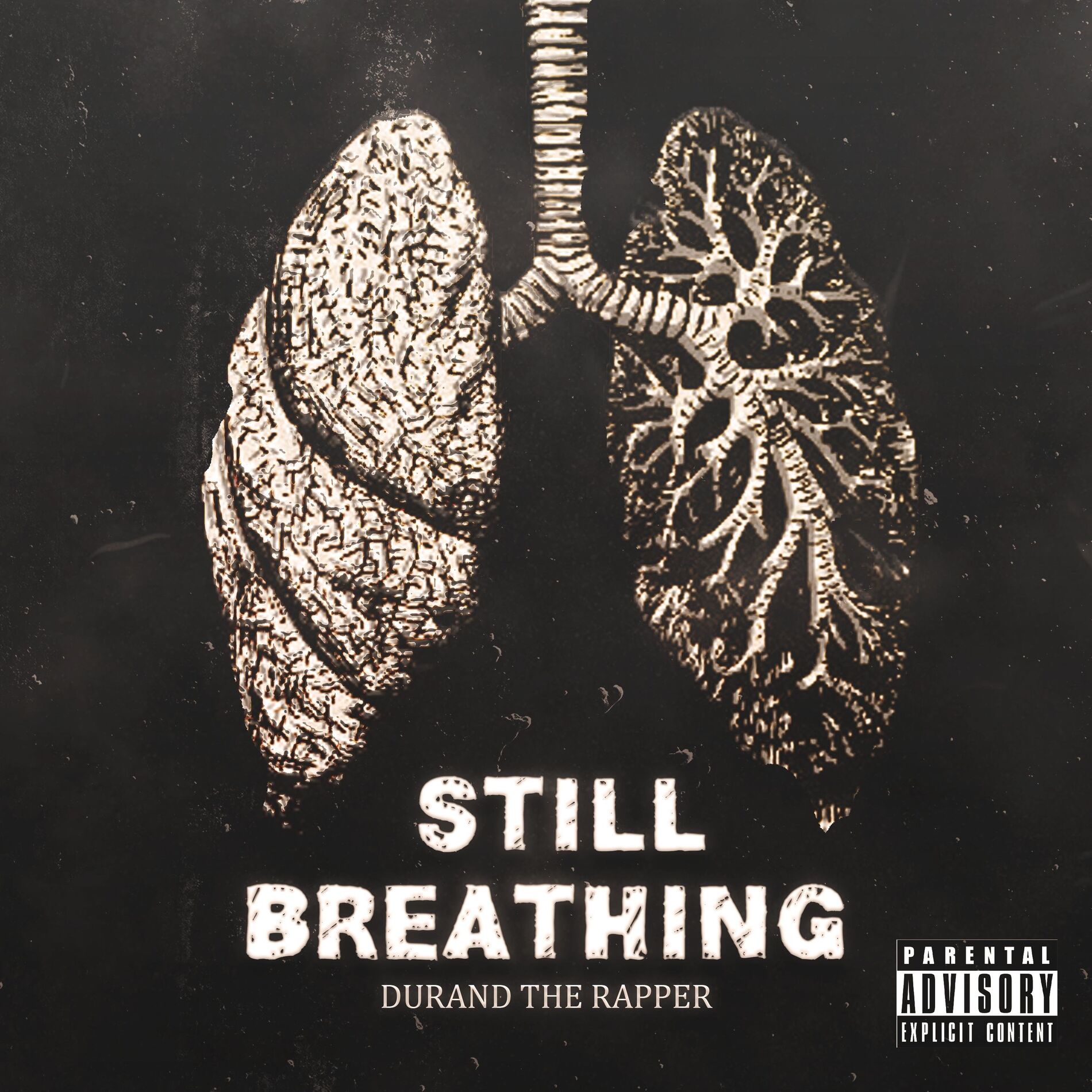 Album cover of Still Breathing