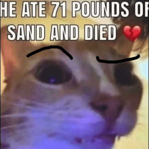 he ate 71 pounds of sand and DIED sleeve