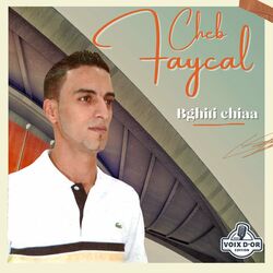 Cover of Bghiti chiaa