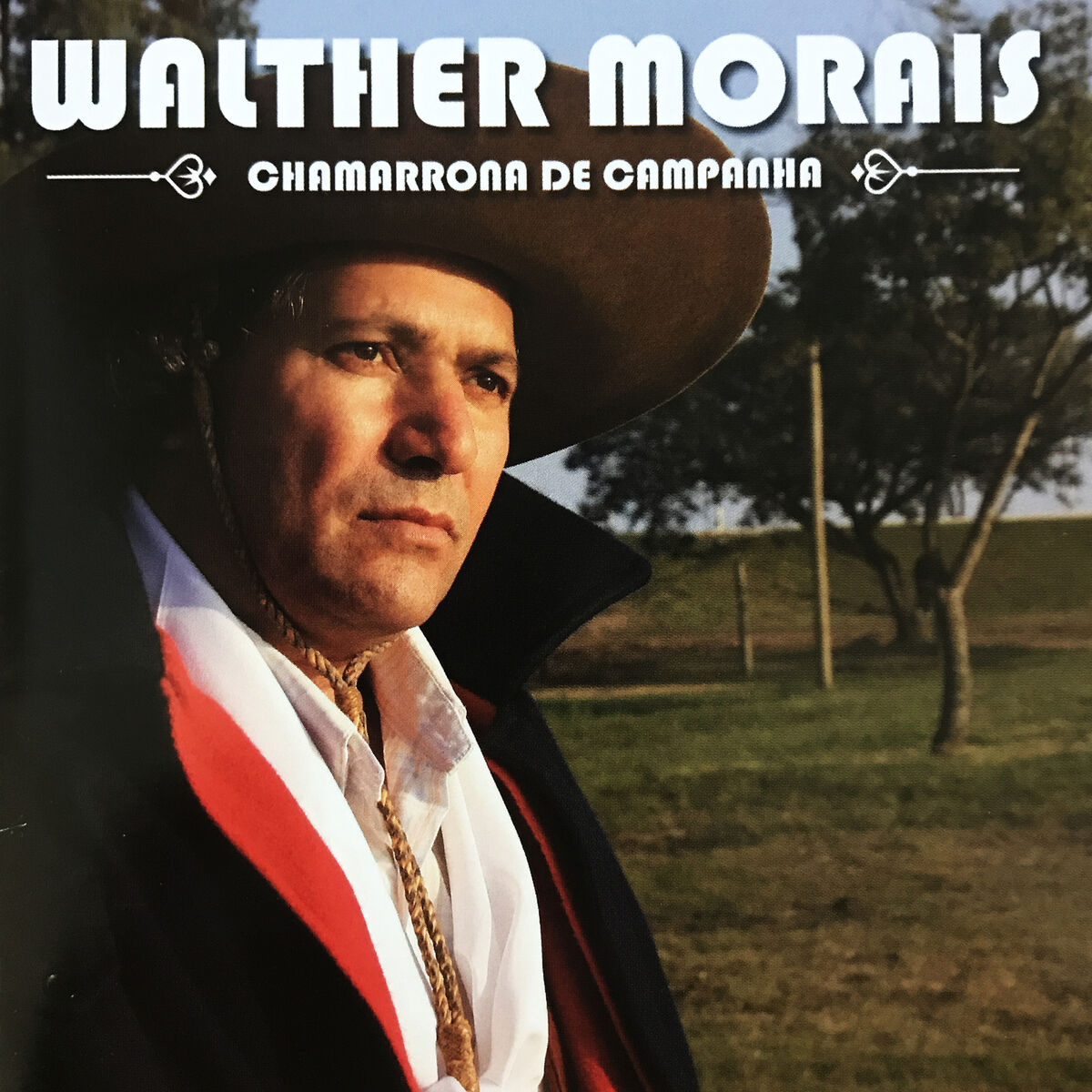 Album cover of Chamarrona de Campanha