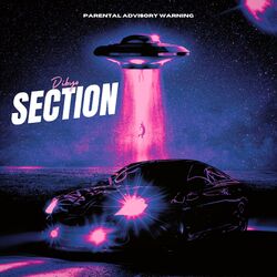 Cover of SECTION