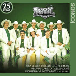 Cover of Íconos 25 Éxitos