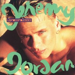 Cover of Try My Love