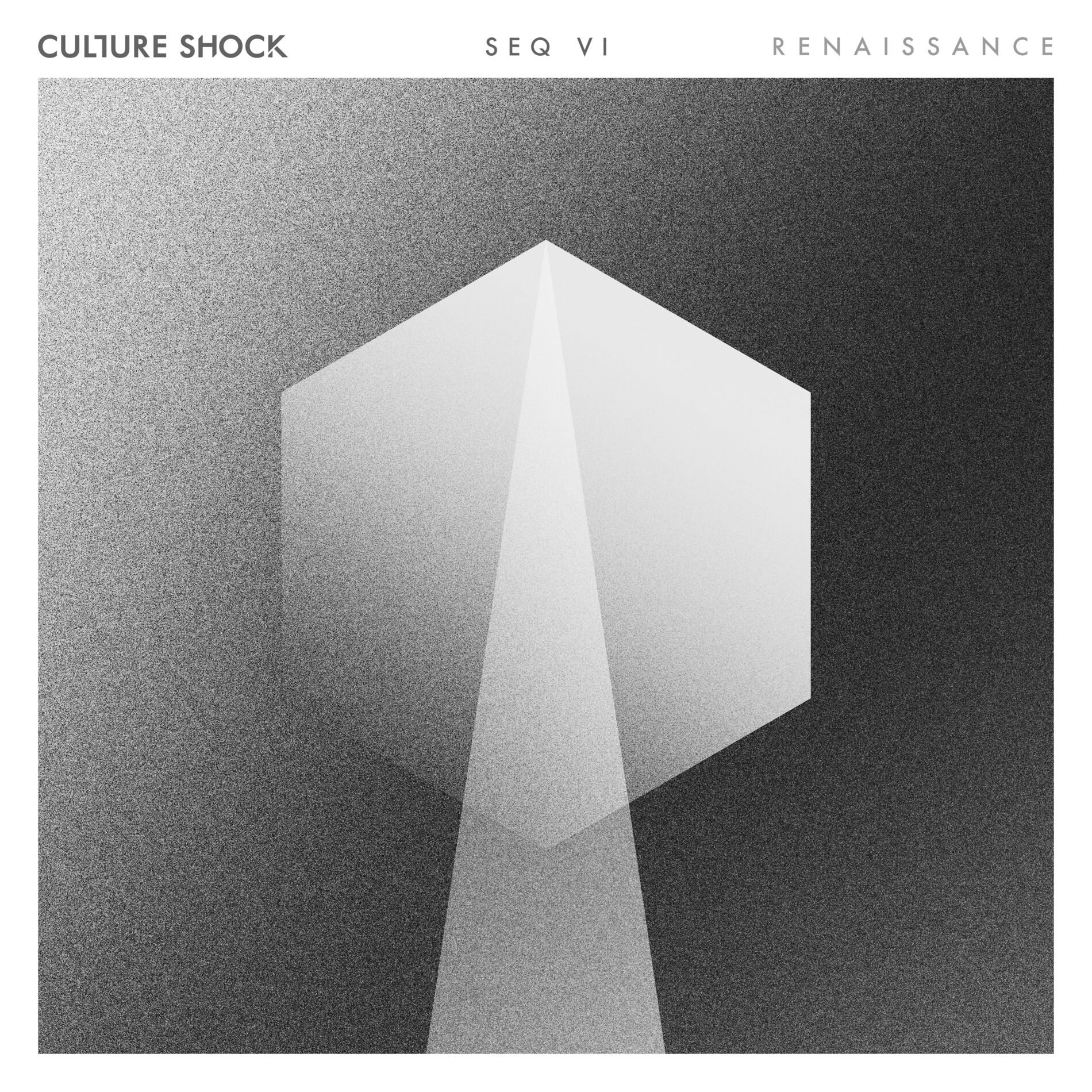 Album cover of Renaissance