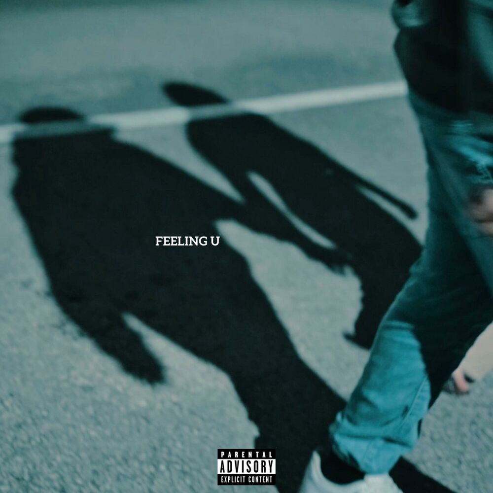 Picture of FEELING U