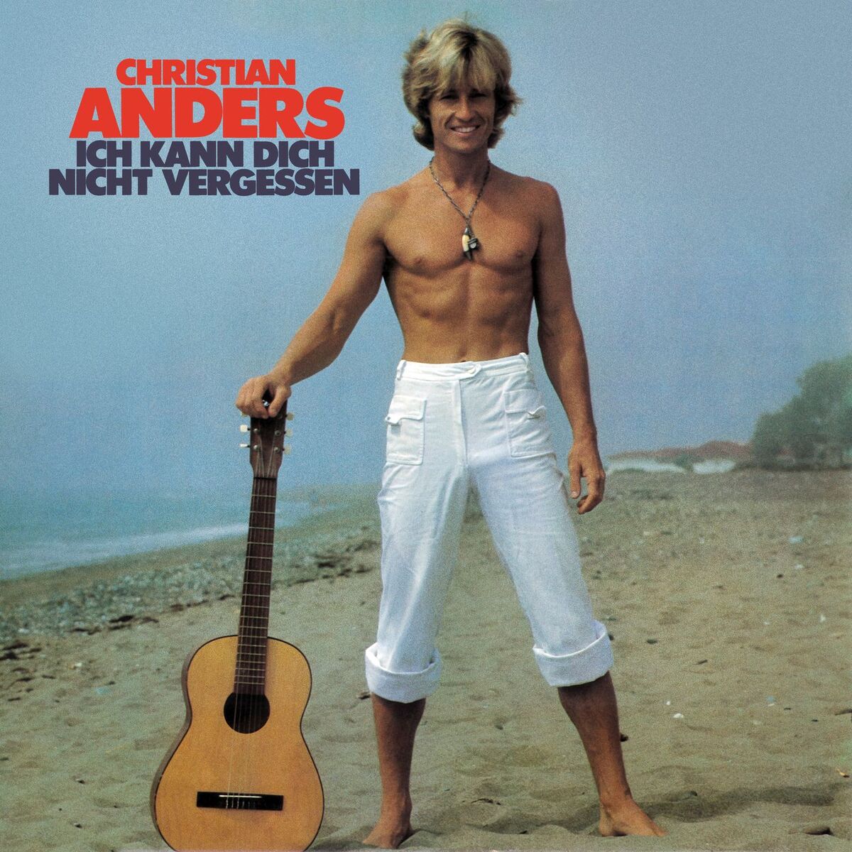 Album cover of Ich kann dich nicht vergessen