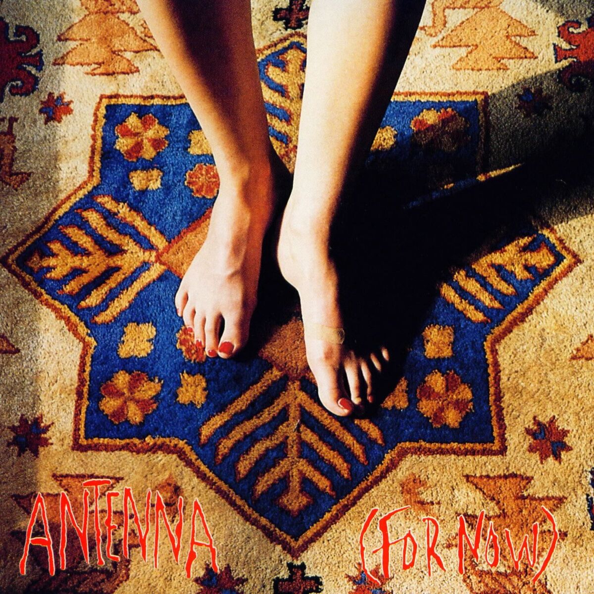 Album cover of For Now