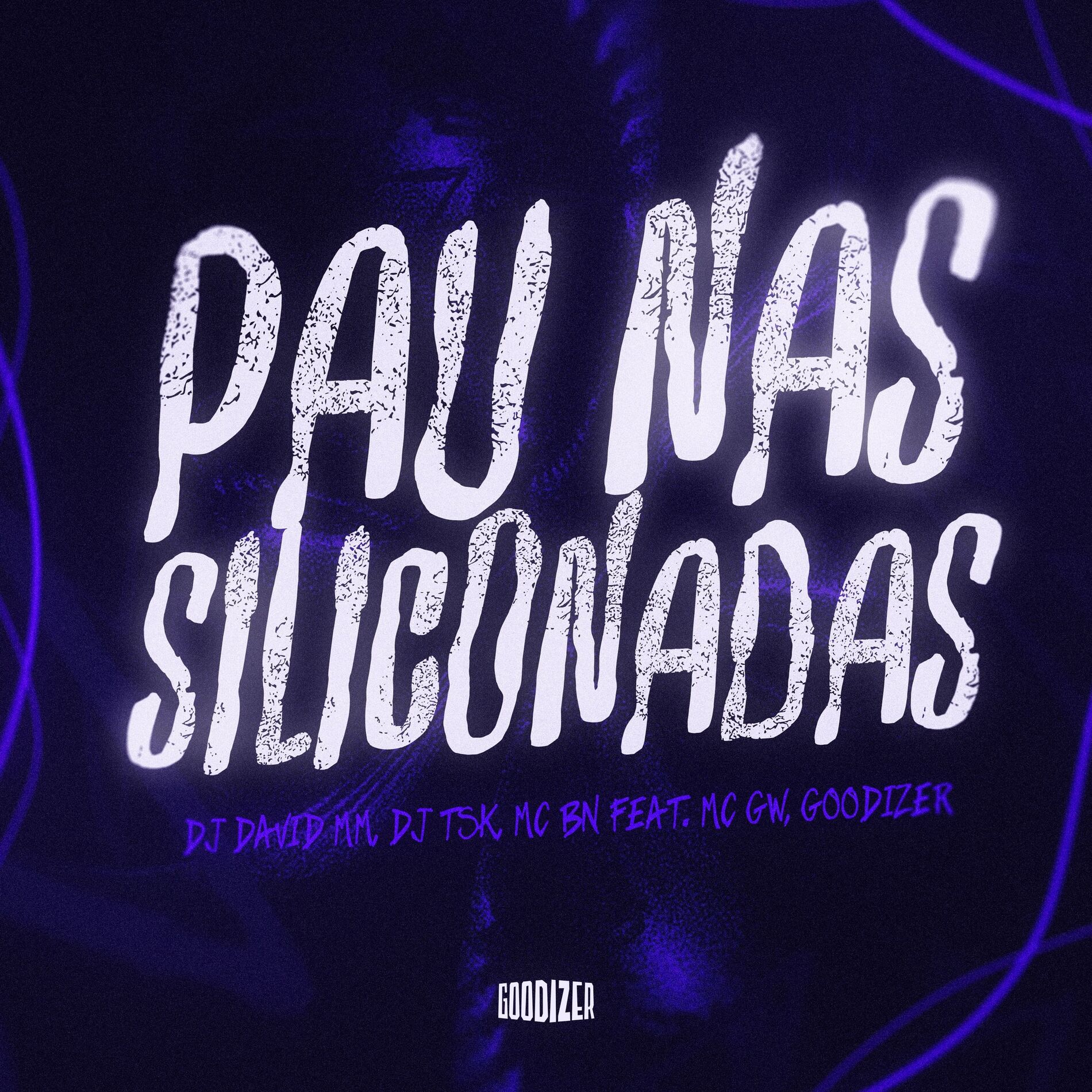 Album cover of Pau nas Siliconadas