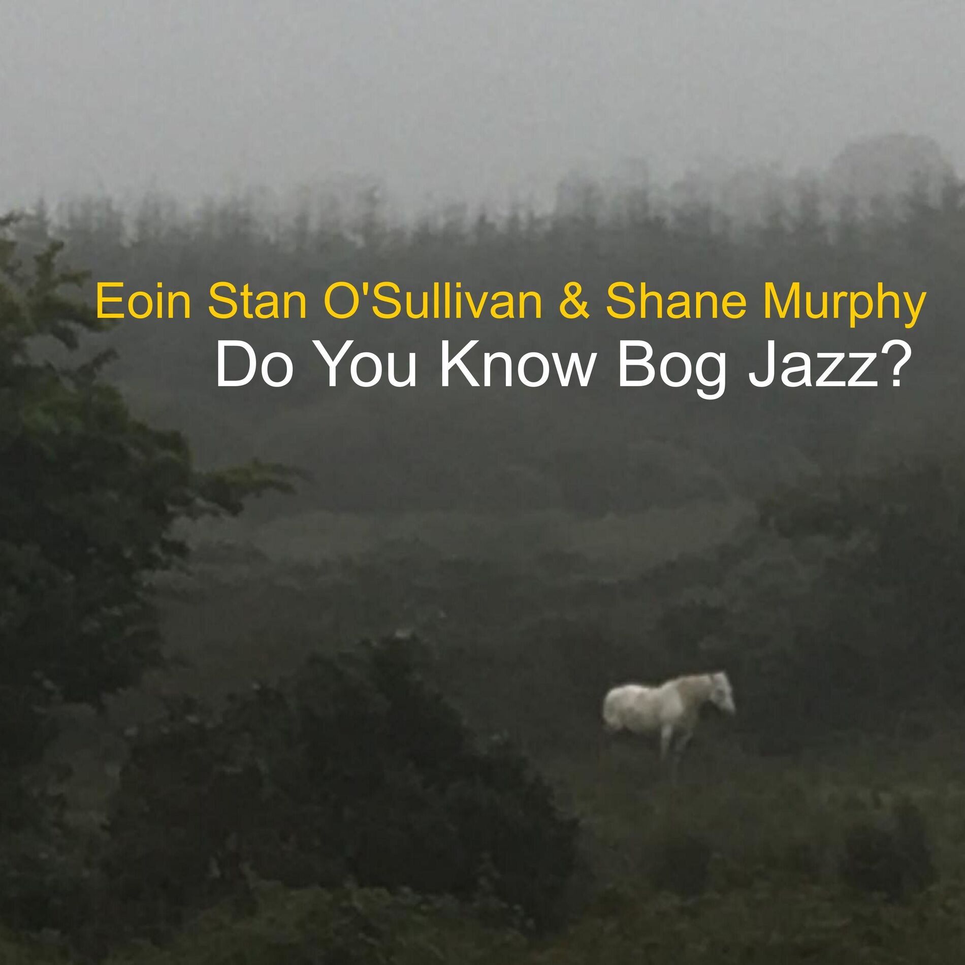 Do You Know Bog Jazz? cover