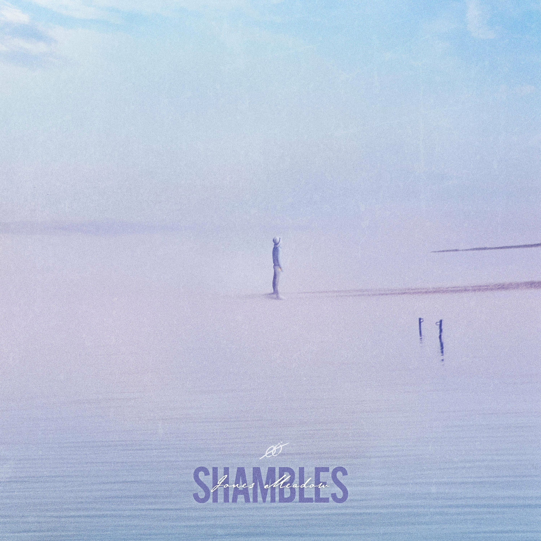 Album cover of Shambles
