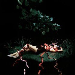 Cover of Blood And Butter