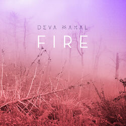 Cover of Fire