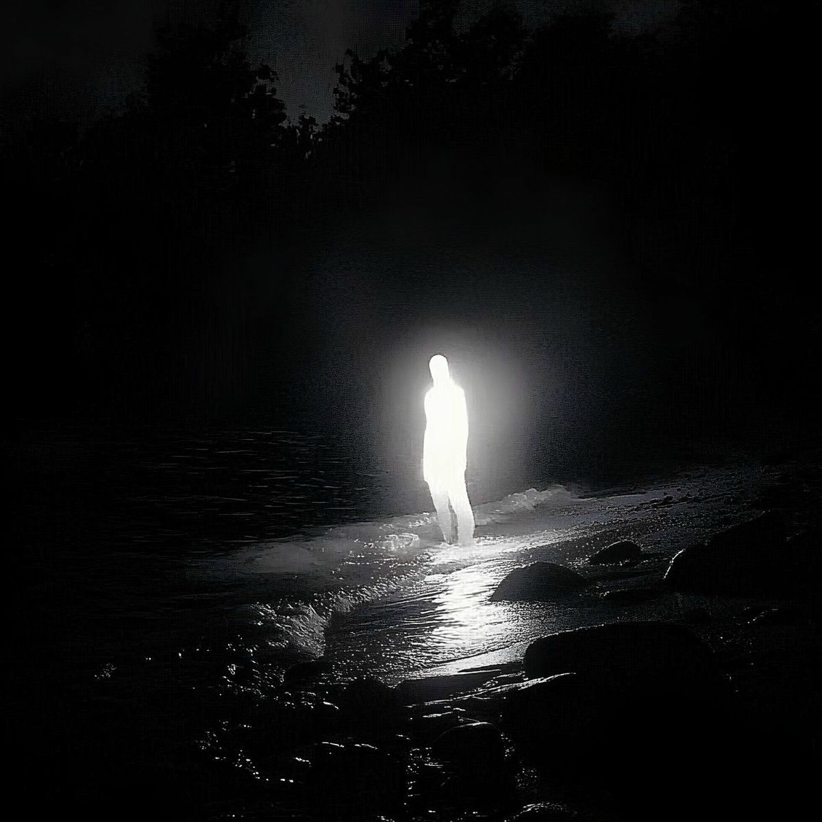 Album cover of Dark Light