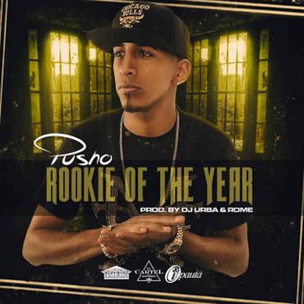 Picture of The Rookie Of The Year