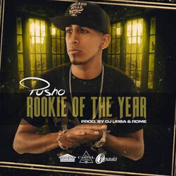 Cover of The Rookie Of The Year