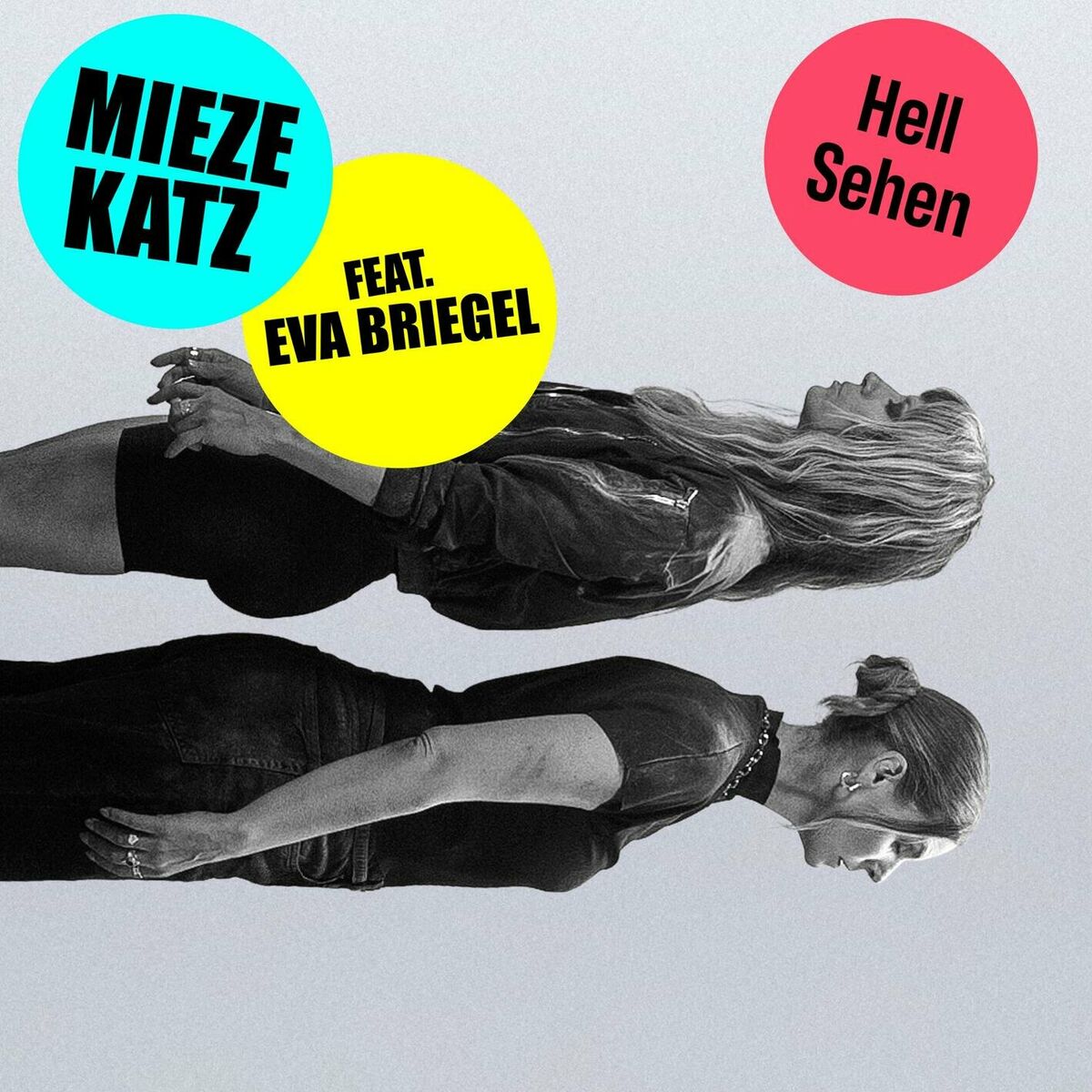 Album cover of HellSehen