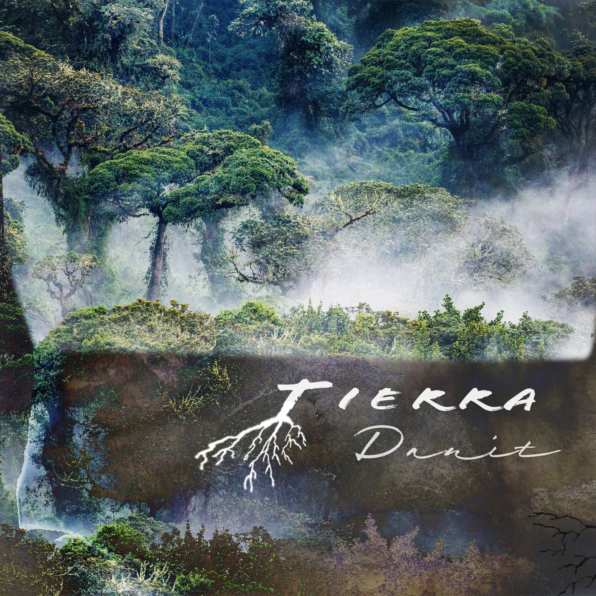 Album cover of Tierra