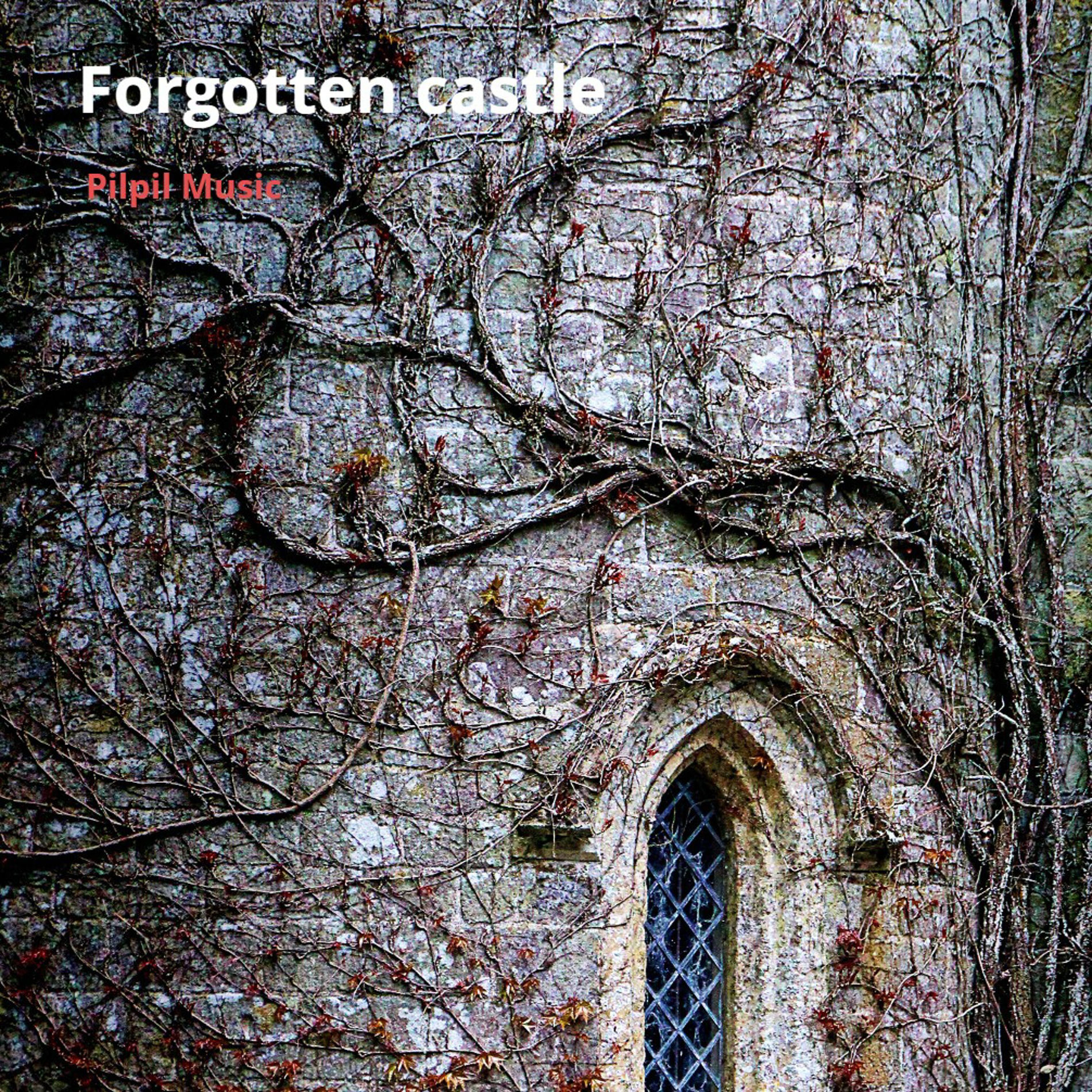 Album cover of Forgotten Castle (Strings)