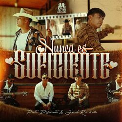Cover of Nunca Es Suficiente