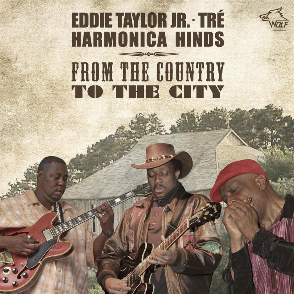 Picture of From the Country to the City