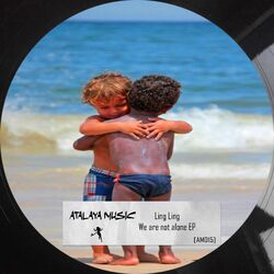 Cover of We Are Not Alone Ep (Am015)