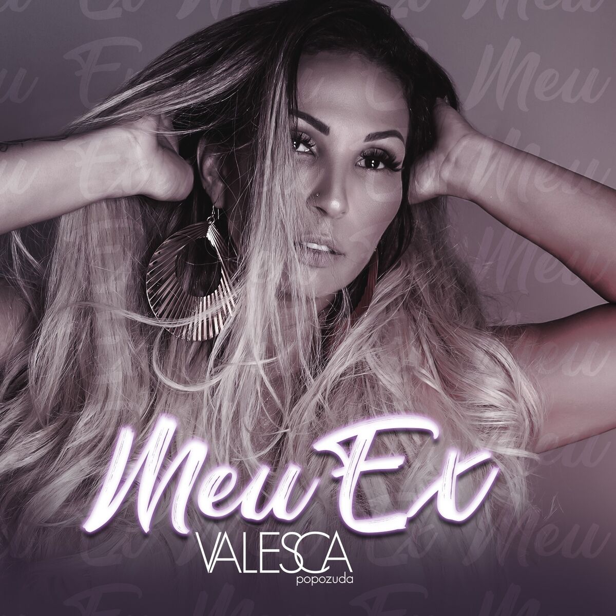 Album cover of Meu Ex
