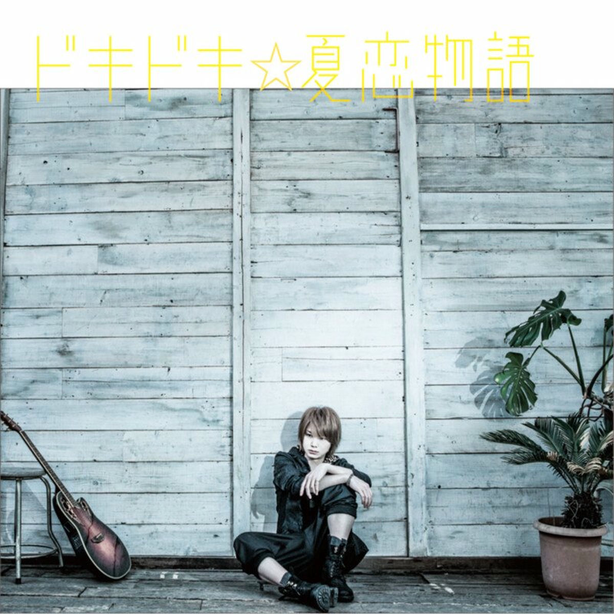 ぽこた: albums, songs, concerts | Deezer