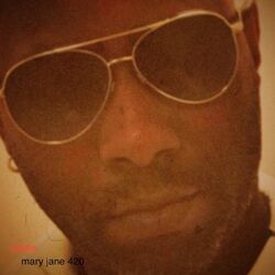 Cover of Mary Jane 420