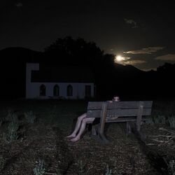Cover of Projecting a Life