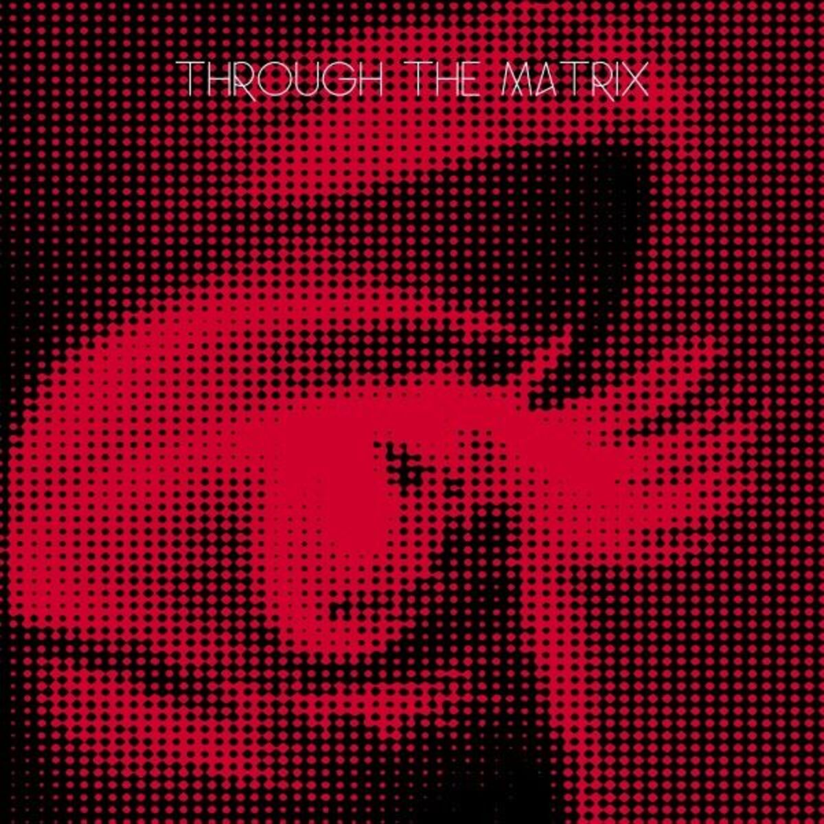 Album cover of Through the Matrix