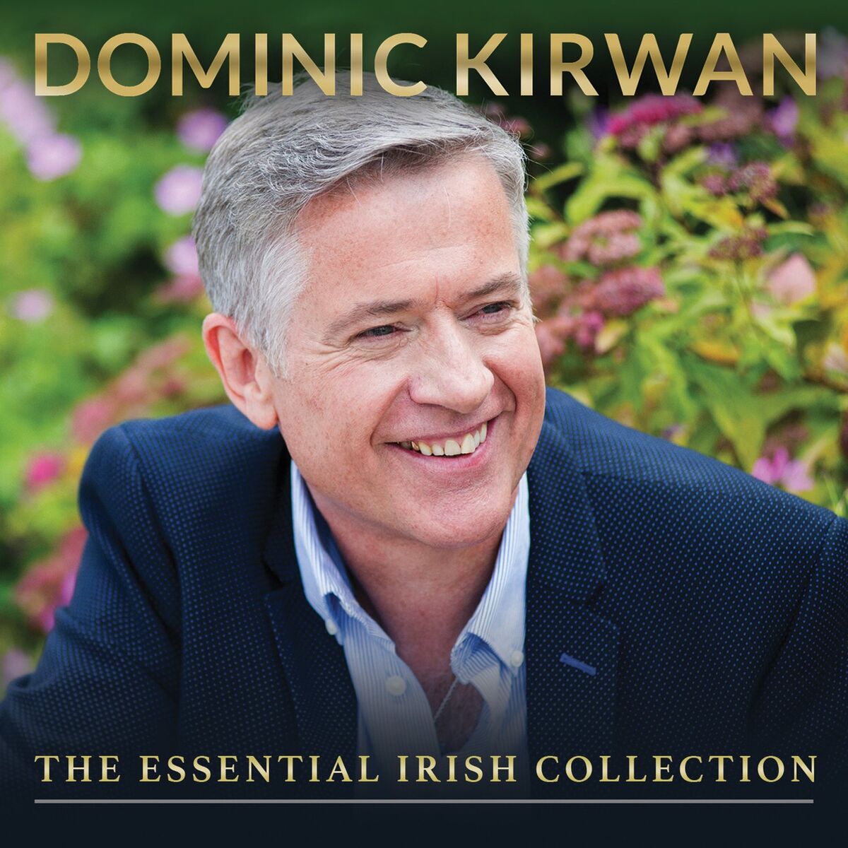 Album cover of Limerick You're a Lady