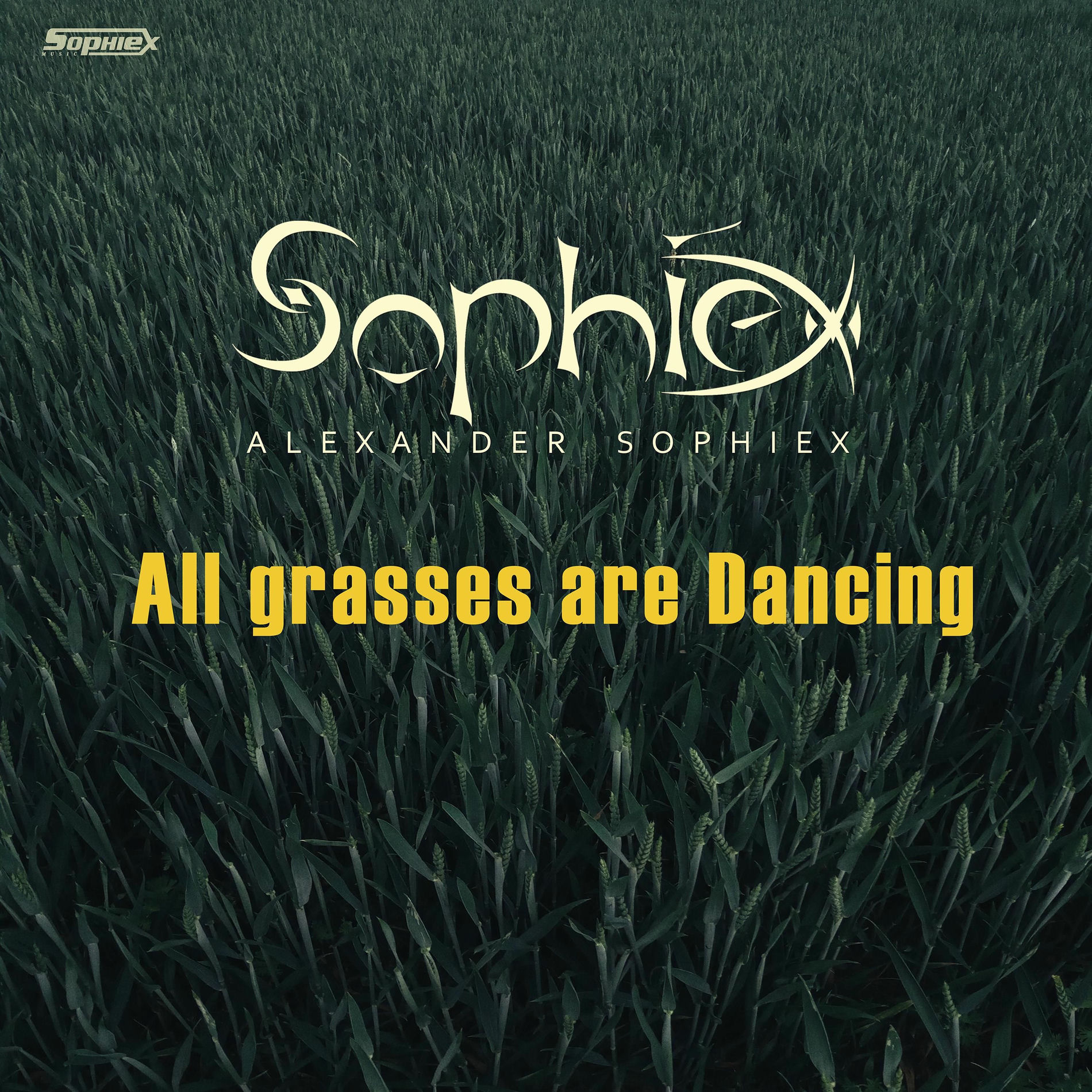 Album cover of All grasses are dancing