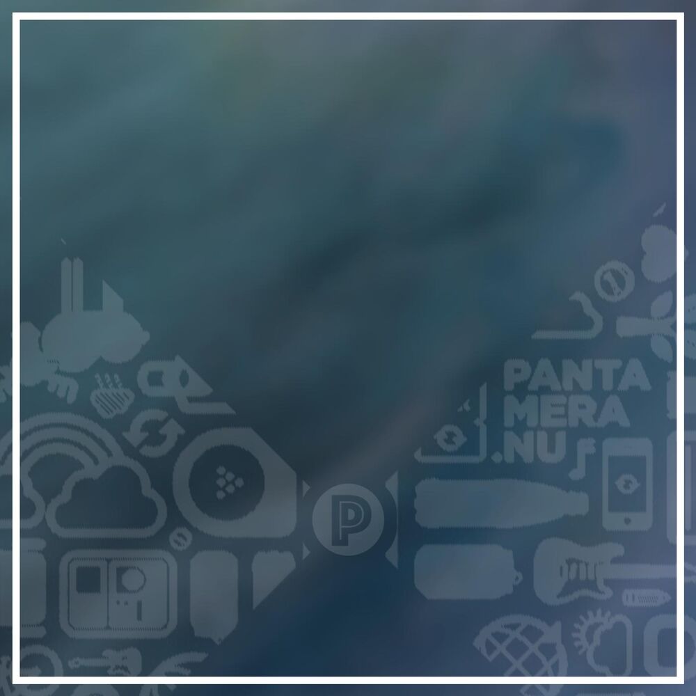 Picture of Pantamera