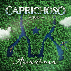 Cover of Amazônia