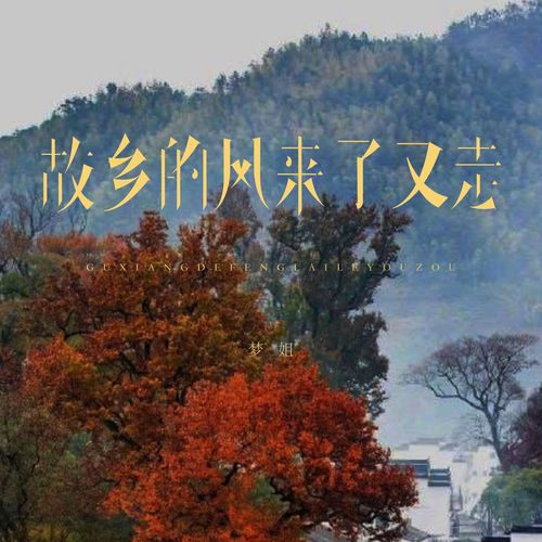 故乡的风来了又走