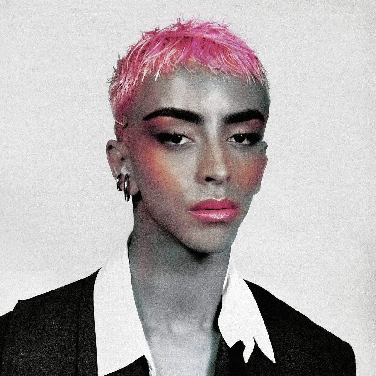 Album cover of Il ou Elle