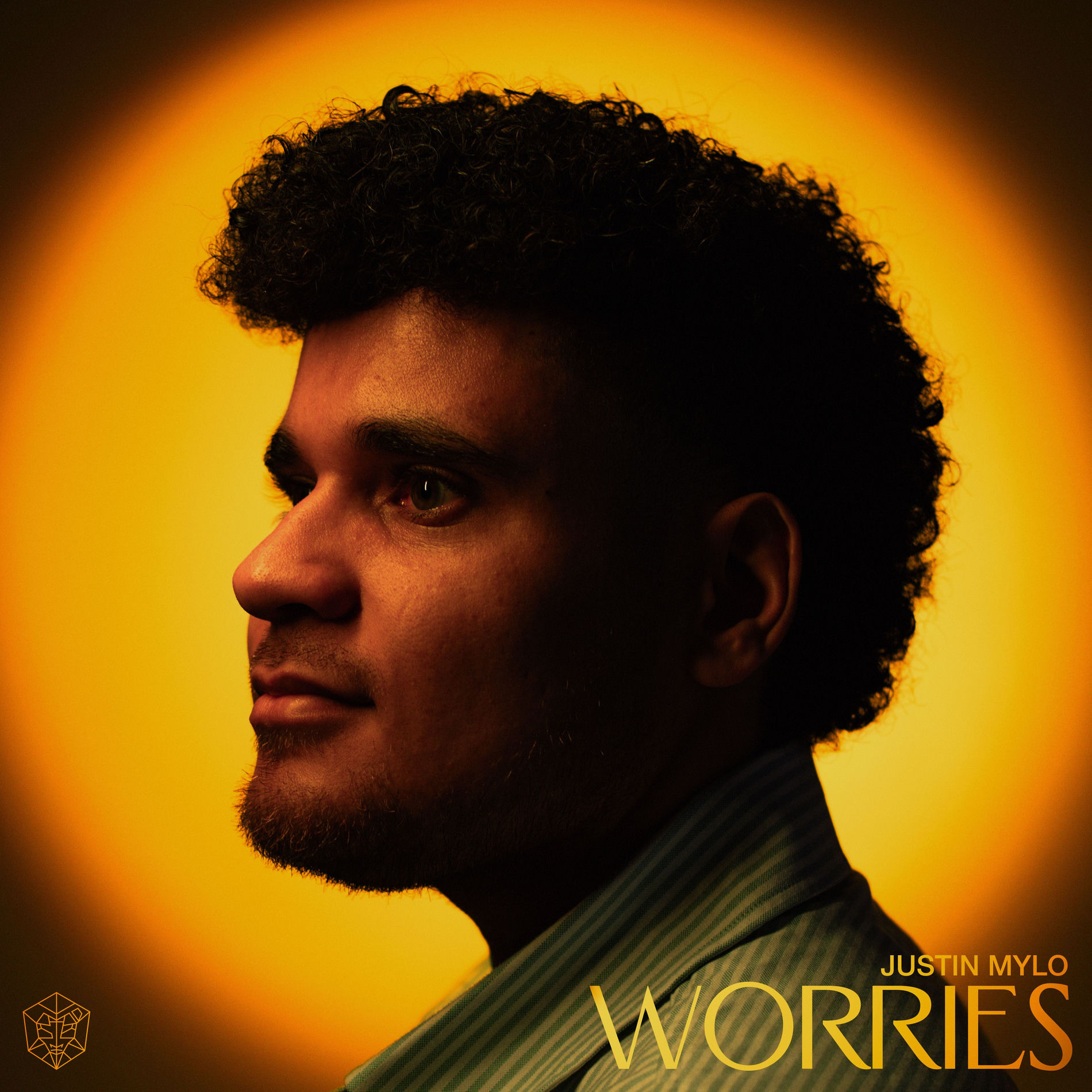 Album cover of Worries