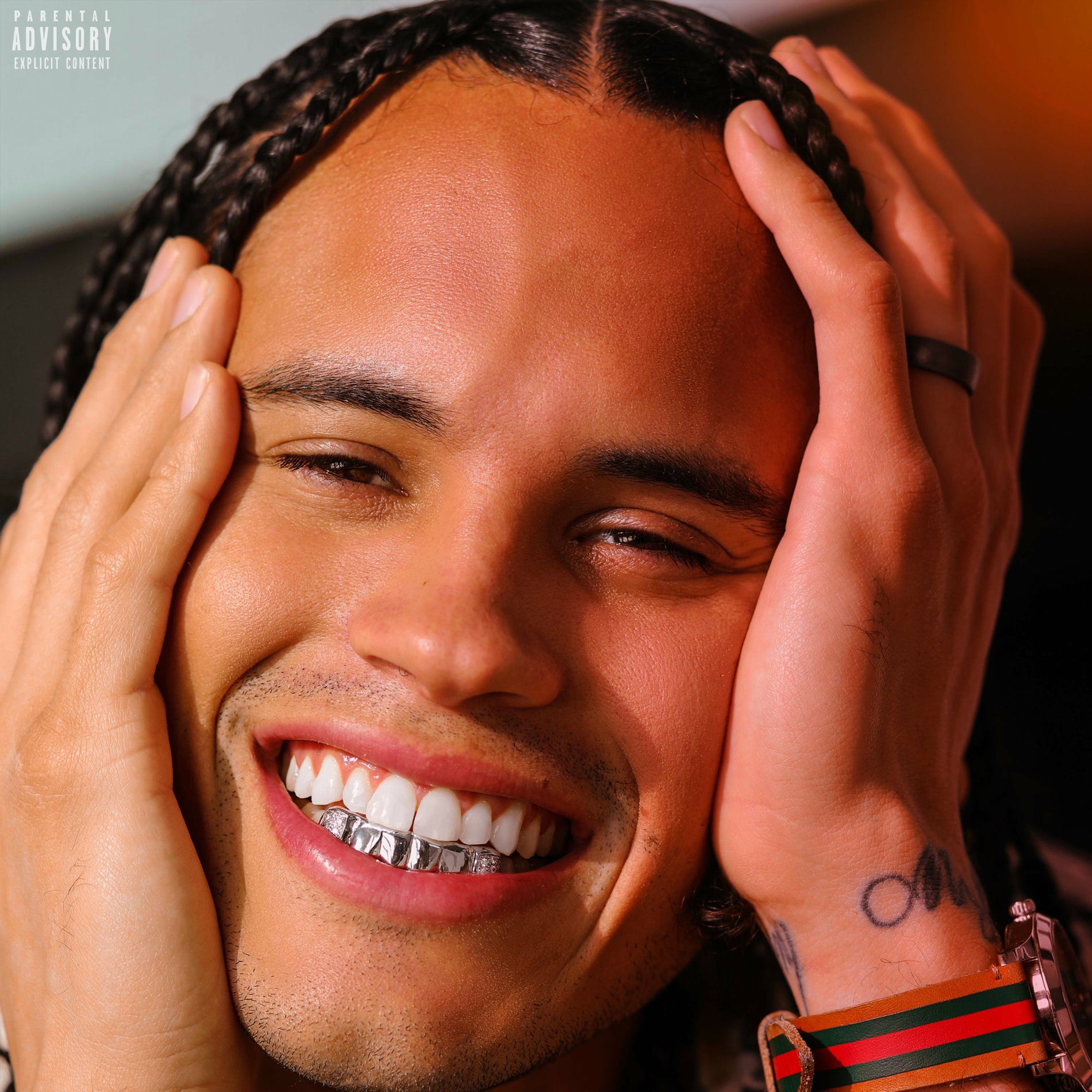 Album cover of VVS (feat. Tdot illdude & Rowlan)
