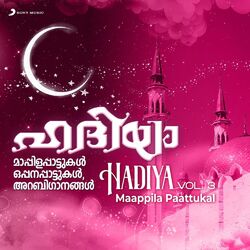 Cover of Hadiya, Vol. 3