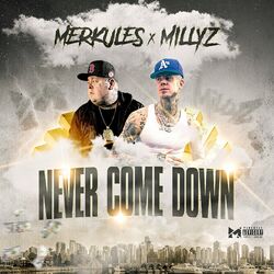 Cover of Never Come Down