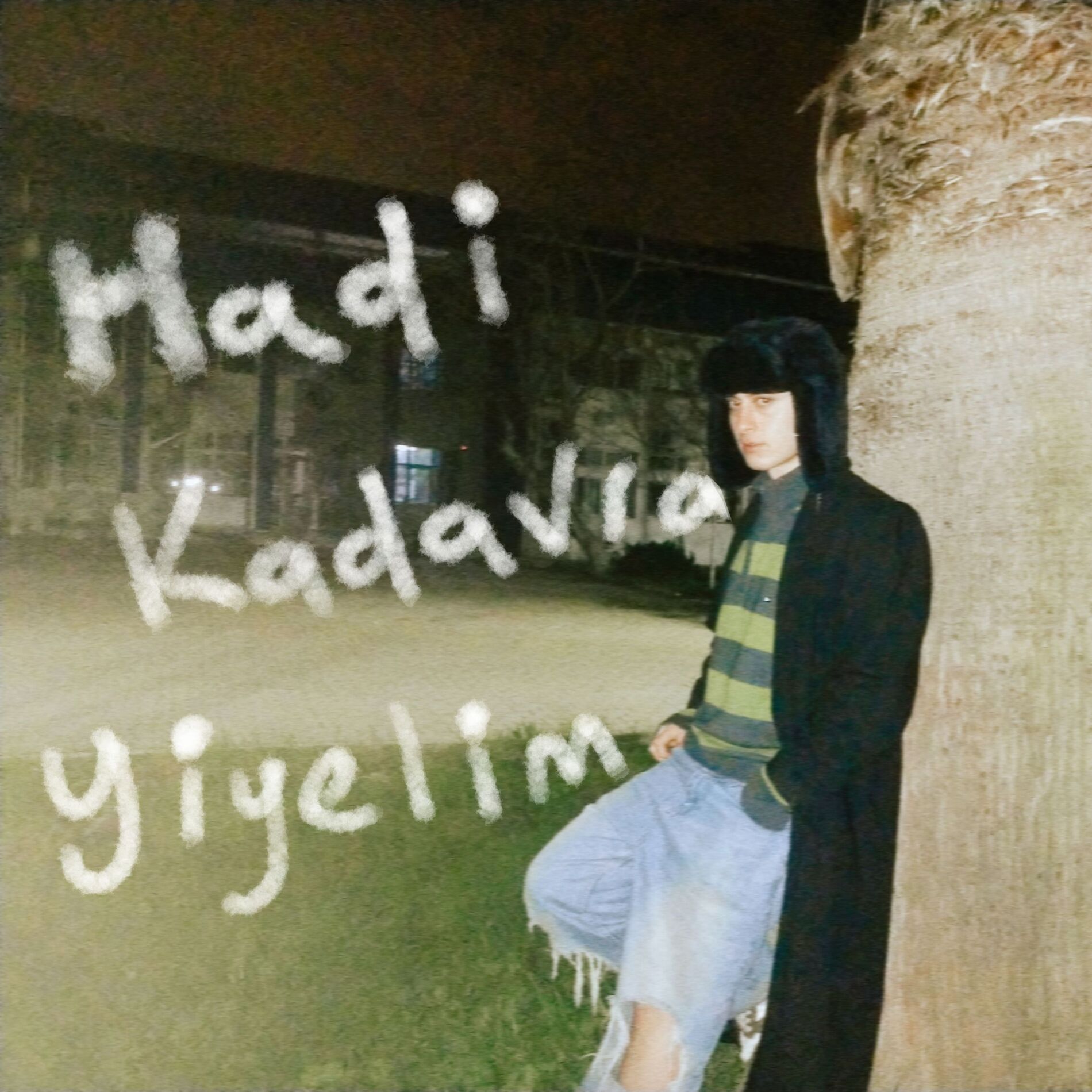 Album cover of hadi kadavra yiyelim!