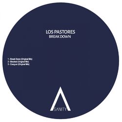 Cover of Break Down
