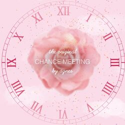 Cover of Chance Meeting