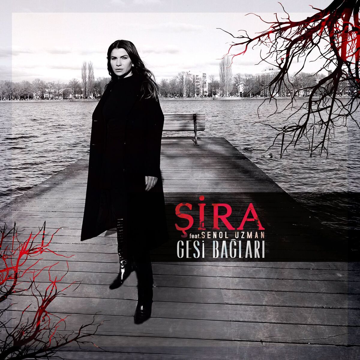 Album cover of GESI BAGLARI