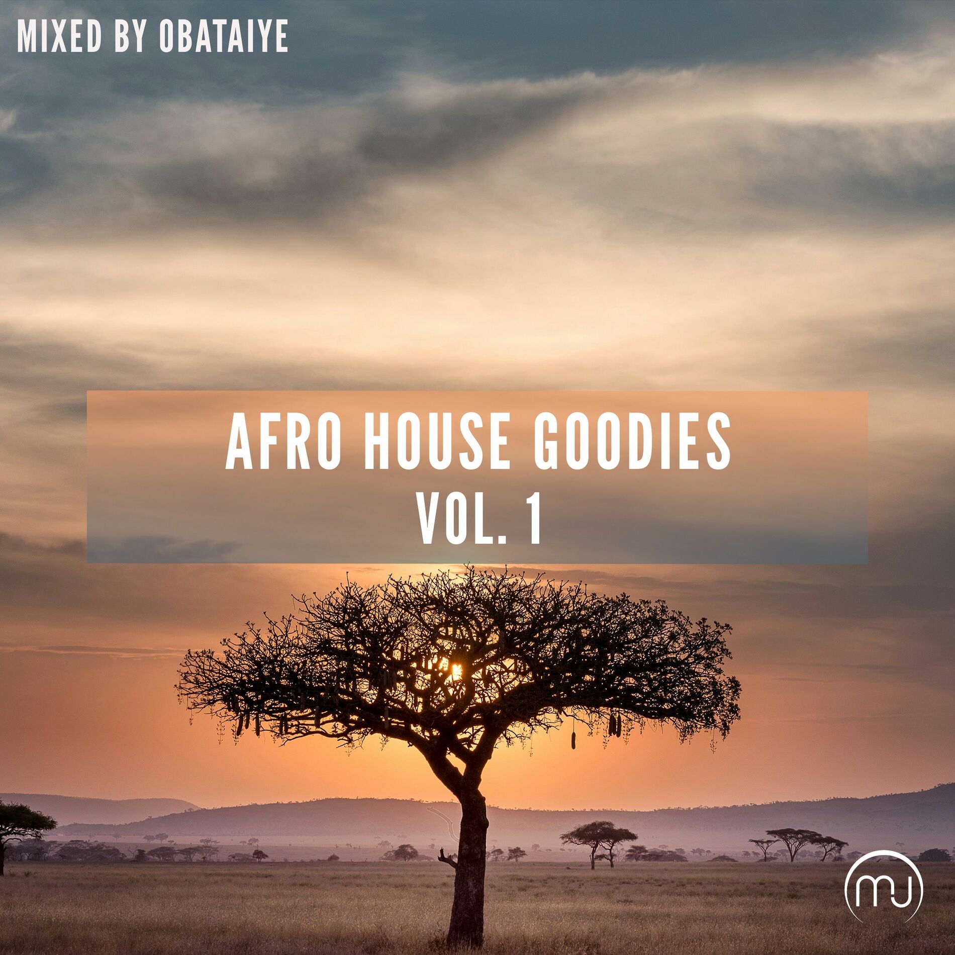 Album cover of Afro House Goodies Vol. 1 (Mixed by Obataiye)