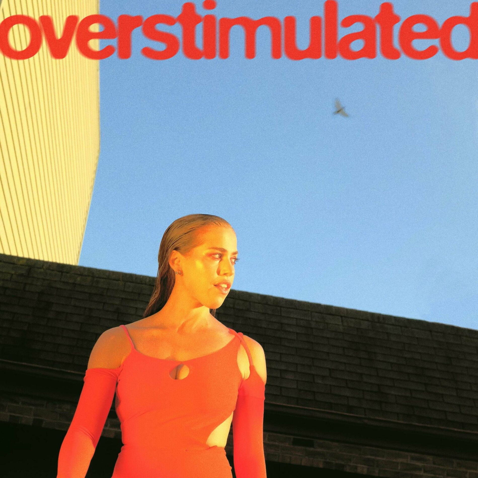 Album cover of Overstimulated