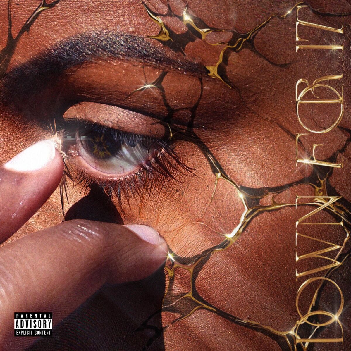 Album cover of Down For It
